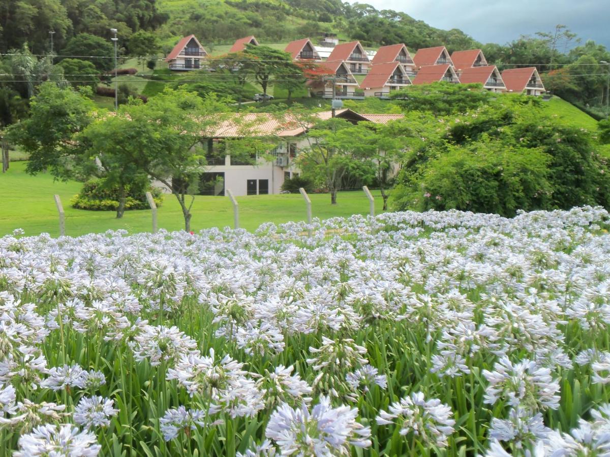 Tureck Garten Hotel Corupá Buitenkant foto