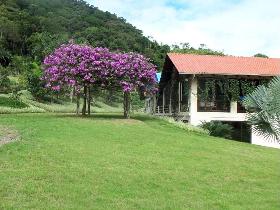 Tureck Garten Hotel Corupá Buitenkant foto